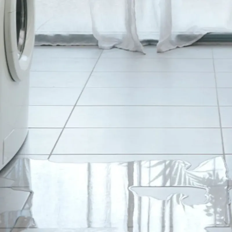 Appliance Leak Cleanup in Cinco Ranch, TX